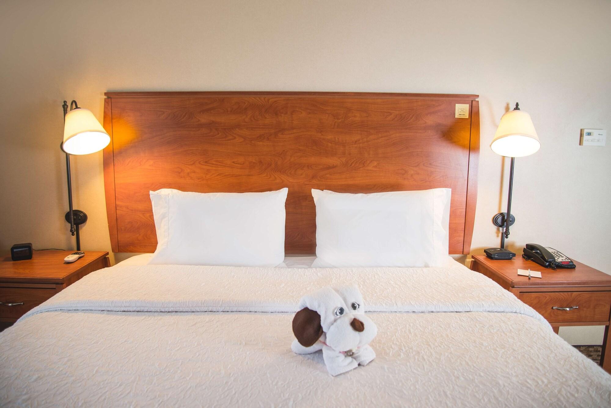 Hotel Hampton &